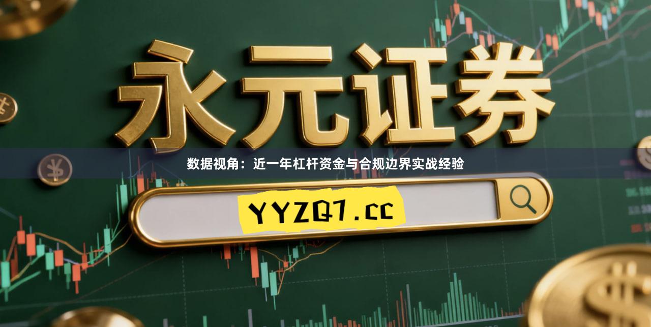 数据视角：近一年杠杆资金与合规边界实战经验